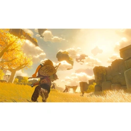 Игра Nintendo The Legend of Zelda: Tears of the Kingdom (Русская версия) (Nintendo Switch)