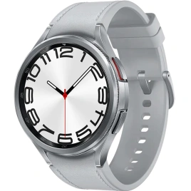 Смарт-часы Samsung Galaxy Watch6 Classic 47 mm SM-R960 Silver
