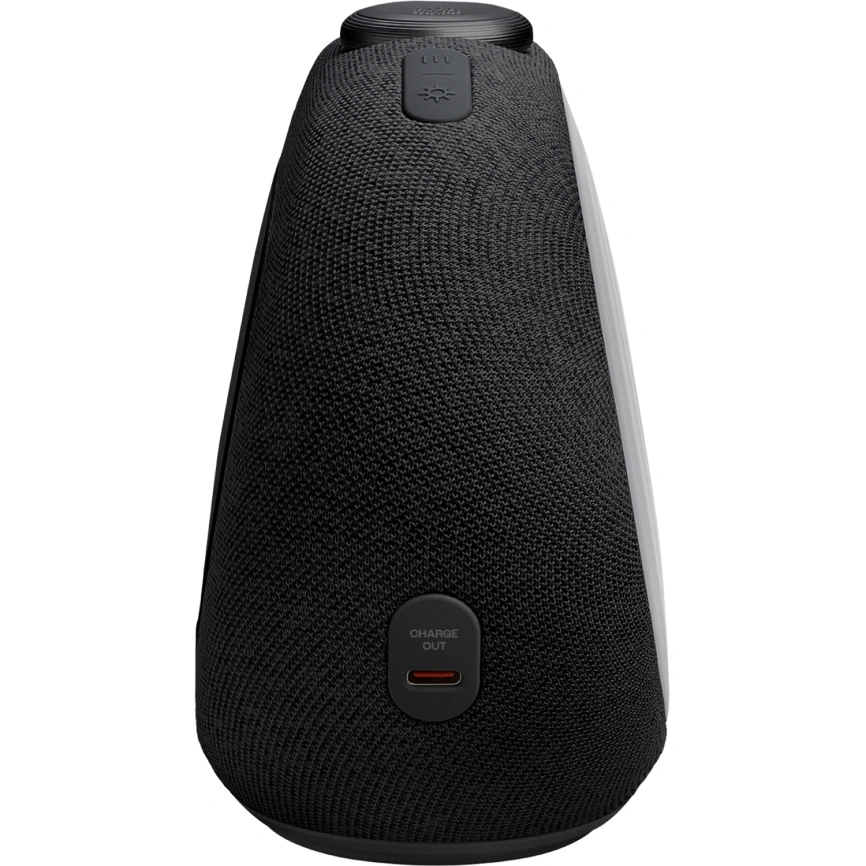 Беспроводная колонка JBL Horizon 3 Black (с FM приемником) фото 6