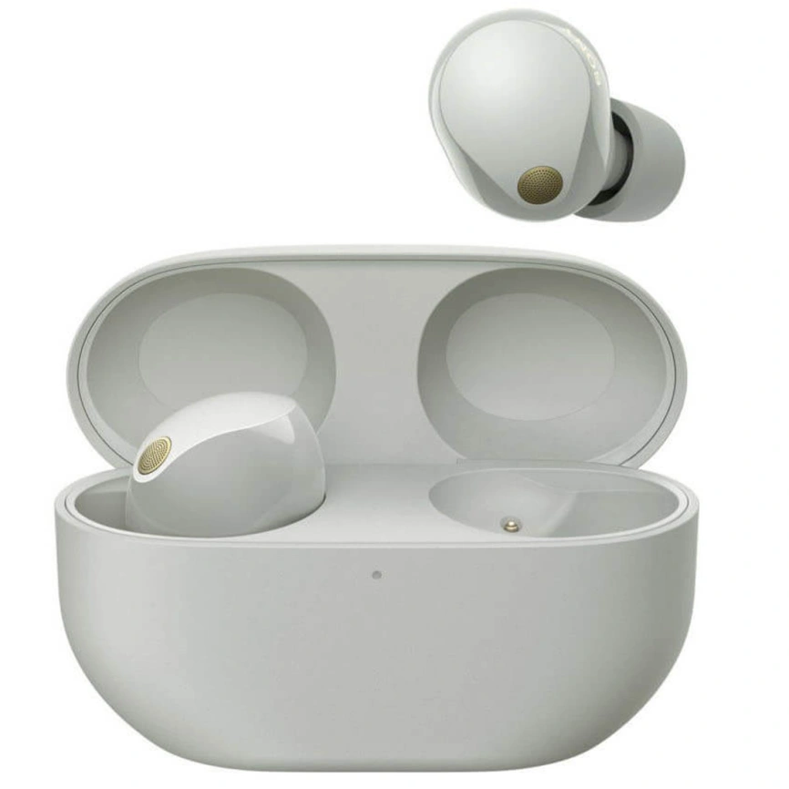 Наушники Sony WF-1000XM5 Platinum Silver фото 1