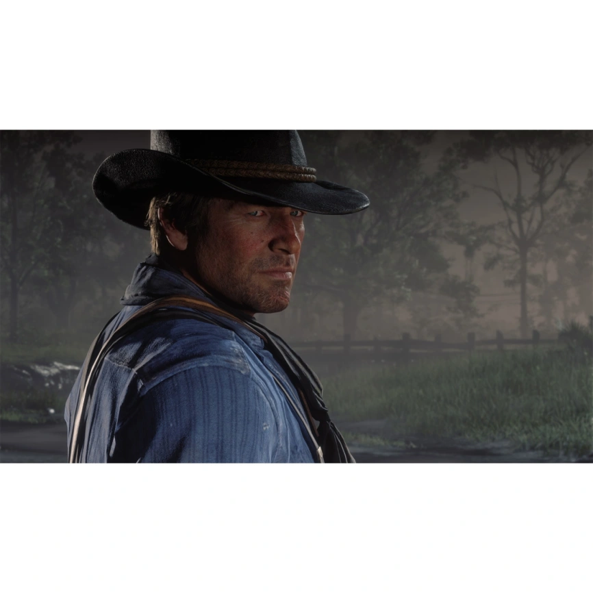 Игра Sony Red Dead Redemption 2 (Русские субтитры) (PS4/PS5) фото 3