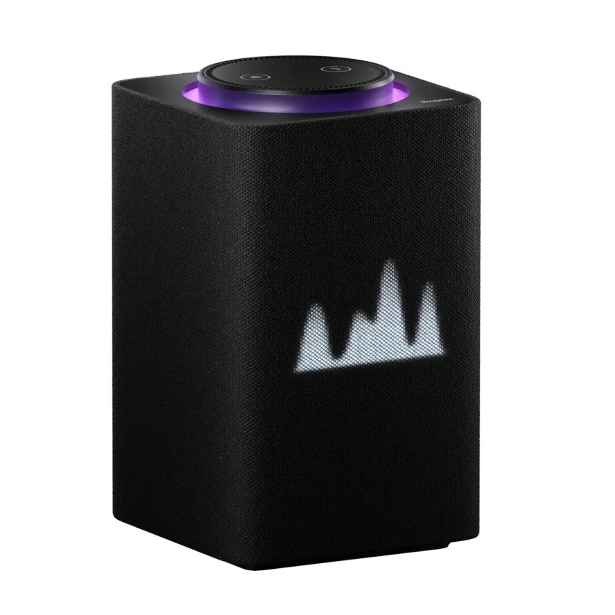 Умная колонка Яндекс Станция Макс с Zigbee, Черный (YNDX-00052K) фото 1
