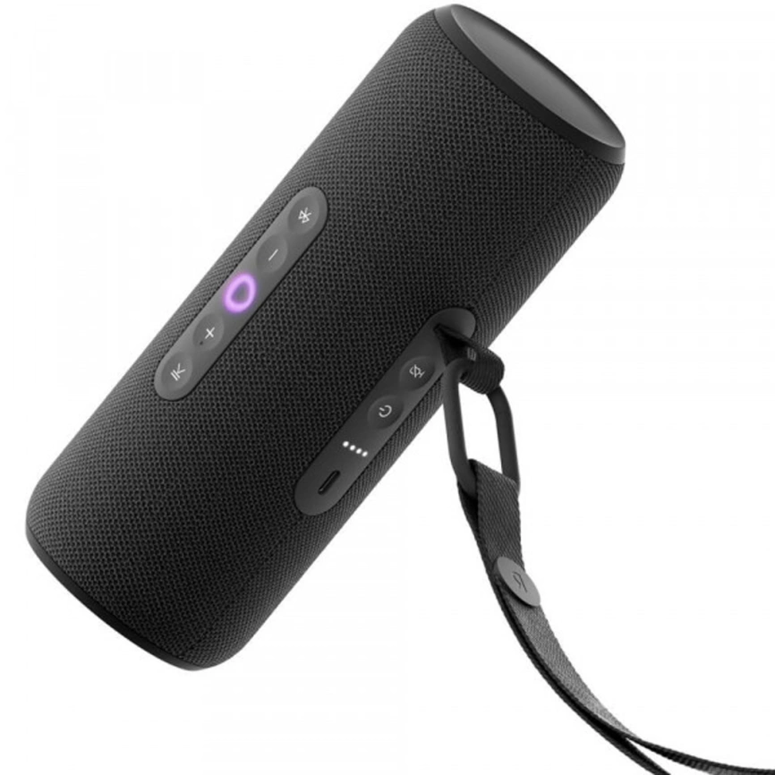 Портативная колонка Яндекс Станция Стрит Черный фото 1