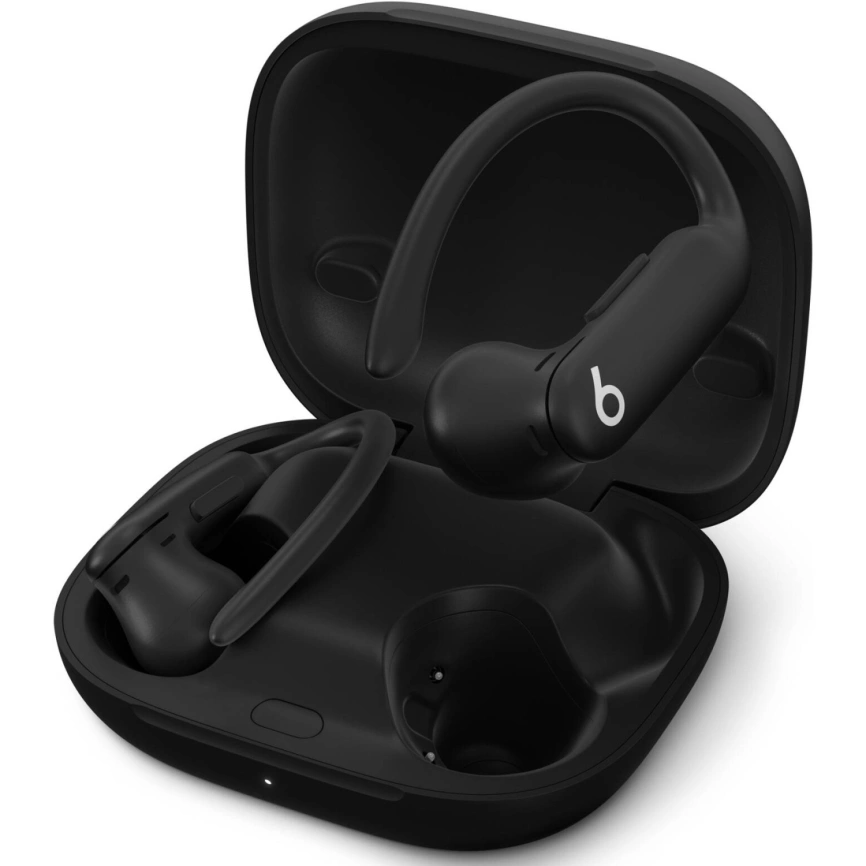 Наушники Beats Powerbeats Pro 2 Jet Black фото 2