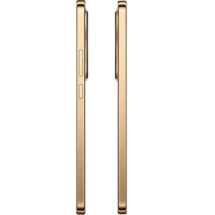 Смартфон Honor X9d 12/256Gb Reddish Brown фото 2