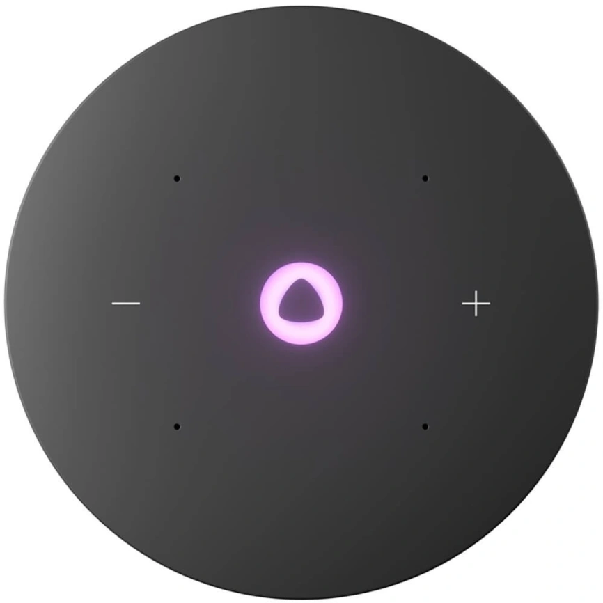 Умная колонка Яндекс Станция Мини 3 Про с Zigbee , Серый фото 3