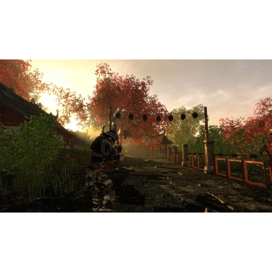 Игра Sony Rise of the Ronin (Русские субтитры) (PS5) фото 2