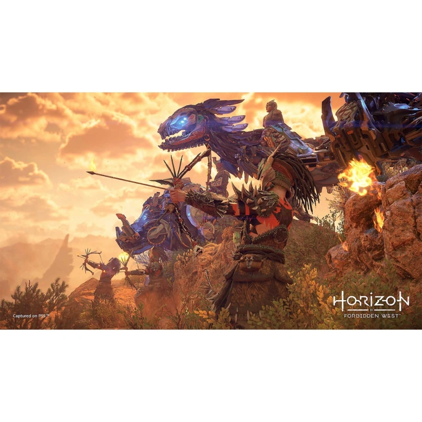 Игра Sony Horizon Запретный Запад (Русская версия) (PS5) фото 3