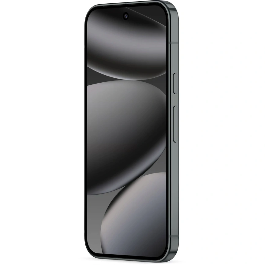 Смартфон Google Pixel 10 Pro 16/128Gb Obsidian фото 2