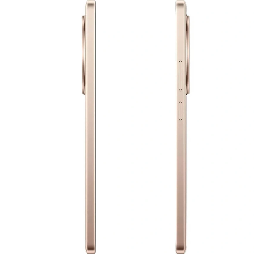 Смартфон Realme 13 Plus 5G 8/256Gb Victory Gold фото 2
