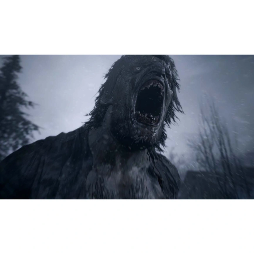 Игра Sony Resident Evil Village (Русская версия) (PS5) фото 6